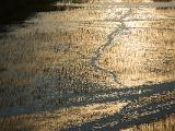 Africa 255 : Aerial View, Africa, Botswana, Delta, Evening Glow, Landscape, Mombo, Nature, Okavango, Travel, Water Grass